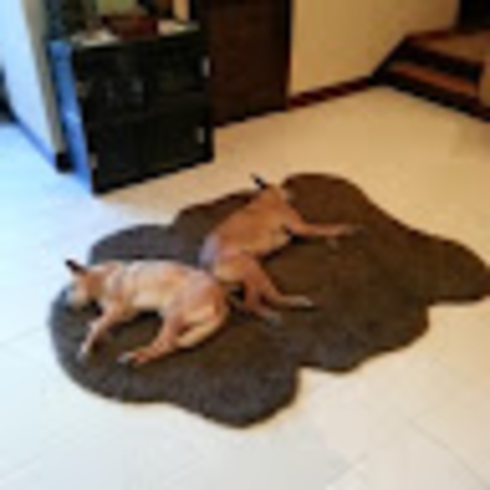 Meet your Posher, Garrick